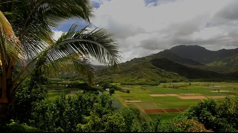 Hanalei Valley View Stock Footage 104175550