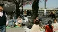 Hanami, Matsuri, Tokyo Sakura Cherry Blossom Festival Season, Japan, Crowds HD Footage