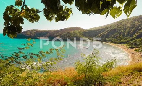 Hanauma Bay State Park in Hawaii Stock Photos