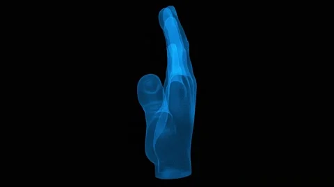 Hand 3d wireframe with thin blue lines. Anatomical futuristic hologram  Stock Footage 139876335