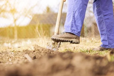 Hand of active senior pulling out weed of his huge botanic garden, clearing Stock Photos