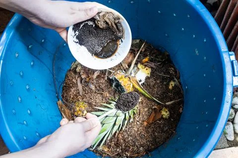 Hand adding coffee grounds into the compost bin as part of green compost Stock Photos