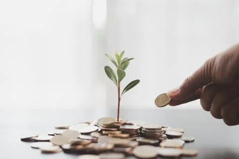 Hand adding a coin to a growing plant rooted in scattered money symbolizes .. Stock Photos
