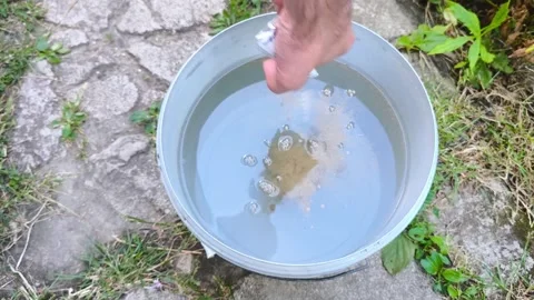 Hand adding fungicide to water to prepare a treatment solution for protecti.. Stock Footage 340358241