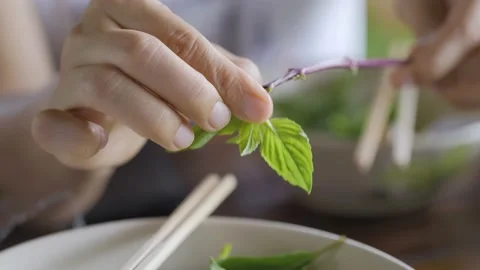 Hand adding Thai basil leaves to noodle for eat. Stock Footage 156604126
