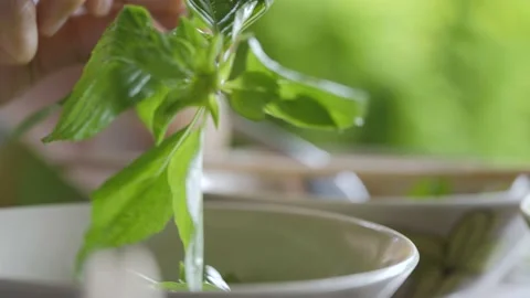 Hand adding Thai basil leaves to noodle for eat. Stock Footage 170225800