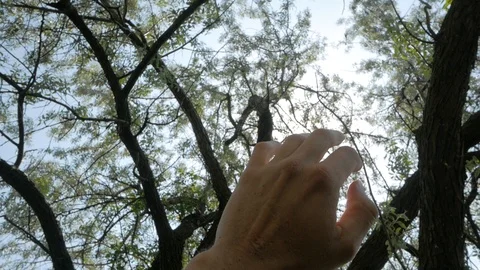 Hand against sun Stock Footage 110224218