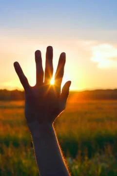 Hand against sunset Foto stock