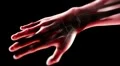 hand and bones LOOP HD Footage