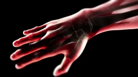 Hand and bones LOOP Stock Footage 7756443