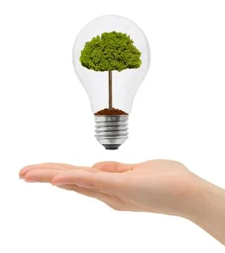 Hand and bulb with tree Stock Illustration