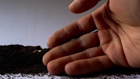 Hand and earth Stock Footage 73631888