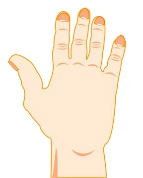 Hand and finger of the person Stock Illustration