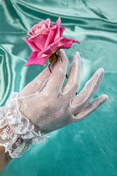 Hand And Rose Stock Photos