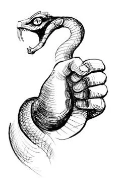 Hand and snake Stock Illustration