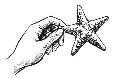 Hand and starfish Illustrazione stock