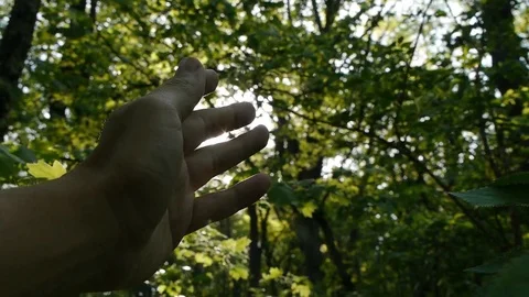 Hand and sun rays Stock Footage 75396662