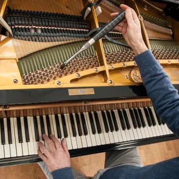 Hand and tools of tuner working on grand piano Stock Photos