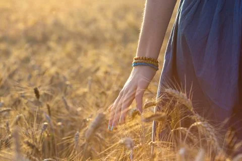 Hand and wheat Stock Photos