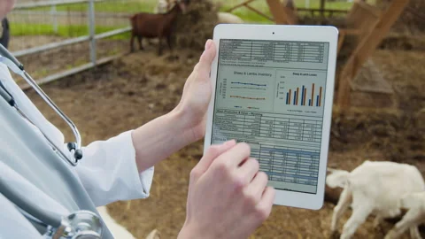 Hand of Anonymous Vet Holding Tablet with Farm Statistics Data on Slide Stock Footage 283145768