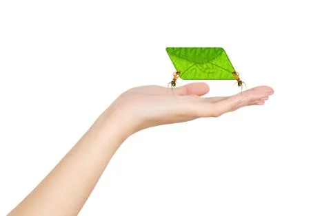 Hand ants Stock Photos