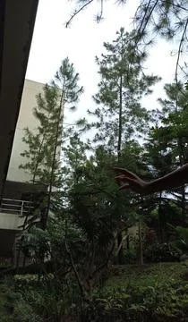 A hand appears in front and trees and buildings Stock Photos
