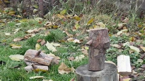 A hand with an ax cuts a log in the grass with autumn foliage Vídeos de archivo 224074385
