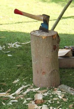 Hand Axe. Stock Photos