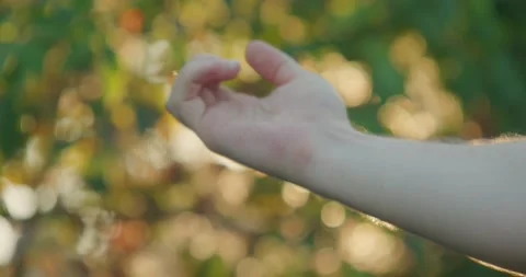 Hand Backlit by Sunbeams at Sunset 4K Stock Footage 160849024