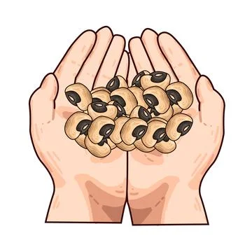 Hand with beans illustration Stock Illustration