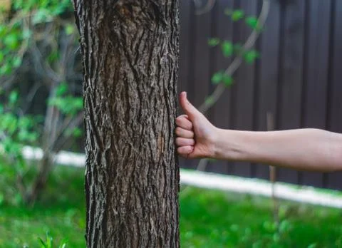 Hand beats a tree Stock Photos