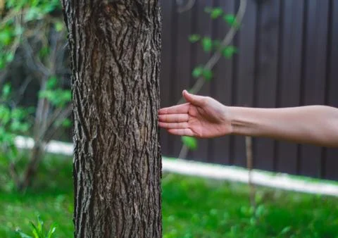 Hand beats a tree Foto stock