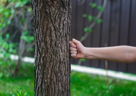 Hand beats a tree Stock-Fotos