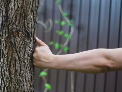 Hand beats a tree Stock Photos