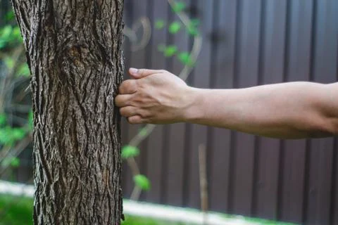 Hand beats a tree Stock Photos