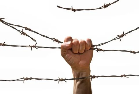 Hand behind barbed wire Stock Photos