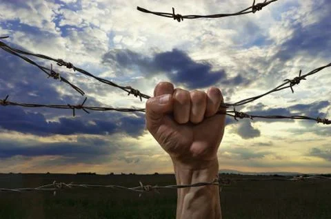 Hand behind barbed wire Stock Photos