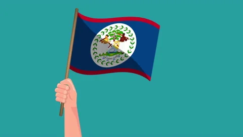Hand Belize holding flag animation. Video stock 168407712