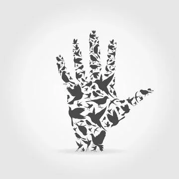 Hand a bird Stock Photos