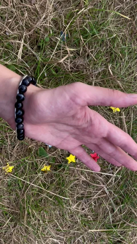 Hand with Black Beaded Bracelet over Grass and Wildflowers Stock Footage 304544458