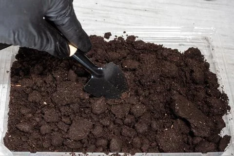 A hand in a black glove is digging up the ground with a miniature shovel for  Stock Photos