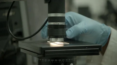 Hand in blue glove adjusting microscope lens over watch glass with liquid sample Video stock 65008566