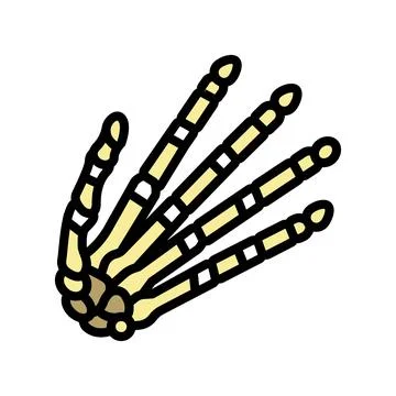 Hand bone color icon vector illustration Stock Illustration