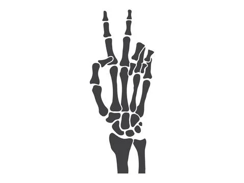 Hand bones  black and white human skeleton bone hands Stock Illustration