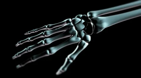 Hand bones LOOP Stock Footage 7756529