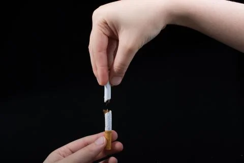 Hand is breaking a cigarette on black background Stock Photos
