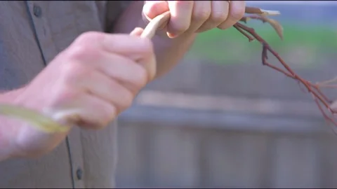 Hand breaking the dry twigs Stock Footage