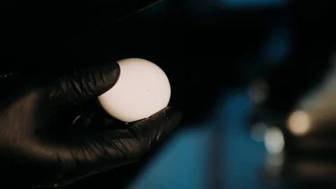 Hand breaking eggshell with a knife Stock Footage 125458655