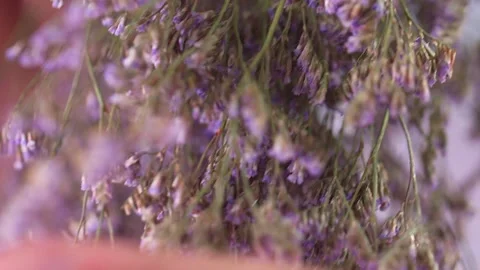 Hand breaking flowers. Stock Footage 142452037