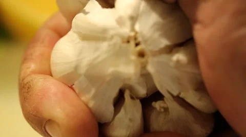 Hand Breaking Garlic Stock Footage 49499668